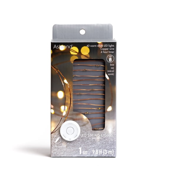40ct. Warm White Copper Wire LED String Lights by Ashland