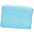 thumbnail image 1 of 40pcs Disposable Dog Pee Pads Super Absorbent Pet Training Wee Pads for Dogs & Cats for Housebreaking & Potty Training Size 33*45cm, 1 of 7