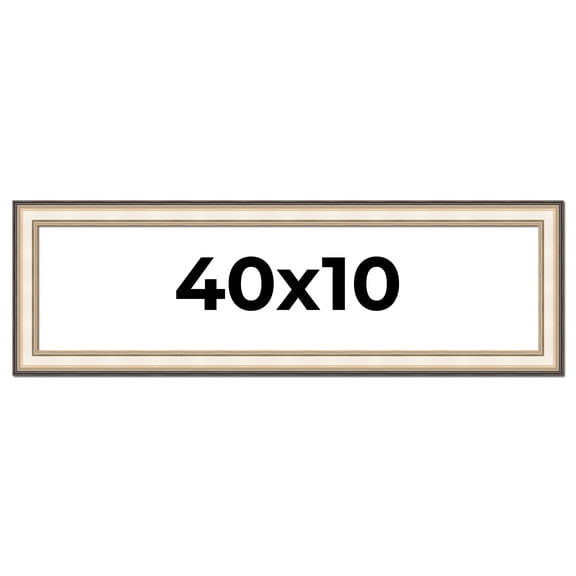 40x10 Frame Gold Silver Plein Aire 2" Inch Wide Moulding Solid Wood Picture Frame | Modena