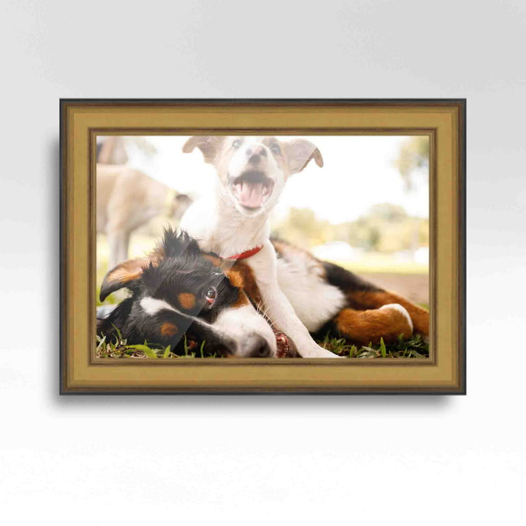 CustomPictureFrames.com 40x18 Gold Bamboo Wood Picture Frame - with Acrylic Front and Foam Board Backing