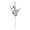 thumbnail image 1 of 41-inch Artificial Silk Grey Green Eucalyptus Long Stem, for Indoor Use, by Mainstays, 1 of 8
