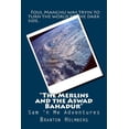 thumbnail image 1 of #41 the Merlins 'n the Aswad Bahadur : Sam 'n Me(tm) Adventure Books, 1 of 1