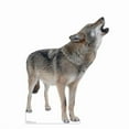thumbnail image 1 of 41 x 32 in. Howling Wolf Life-Size Cardboard Cutout, 1 of 1