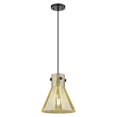 thumbnail image 1 of 410-1PM-BK-G411-10ME Innovations Lighting Newton Cone - 1 Light Pendant In Industrial Style-11.75 Inches Tall and 10 Inches Wide-Matte Black, 1 of 2