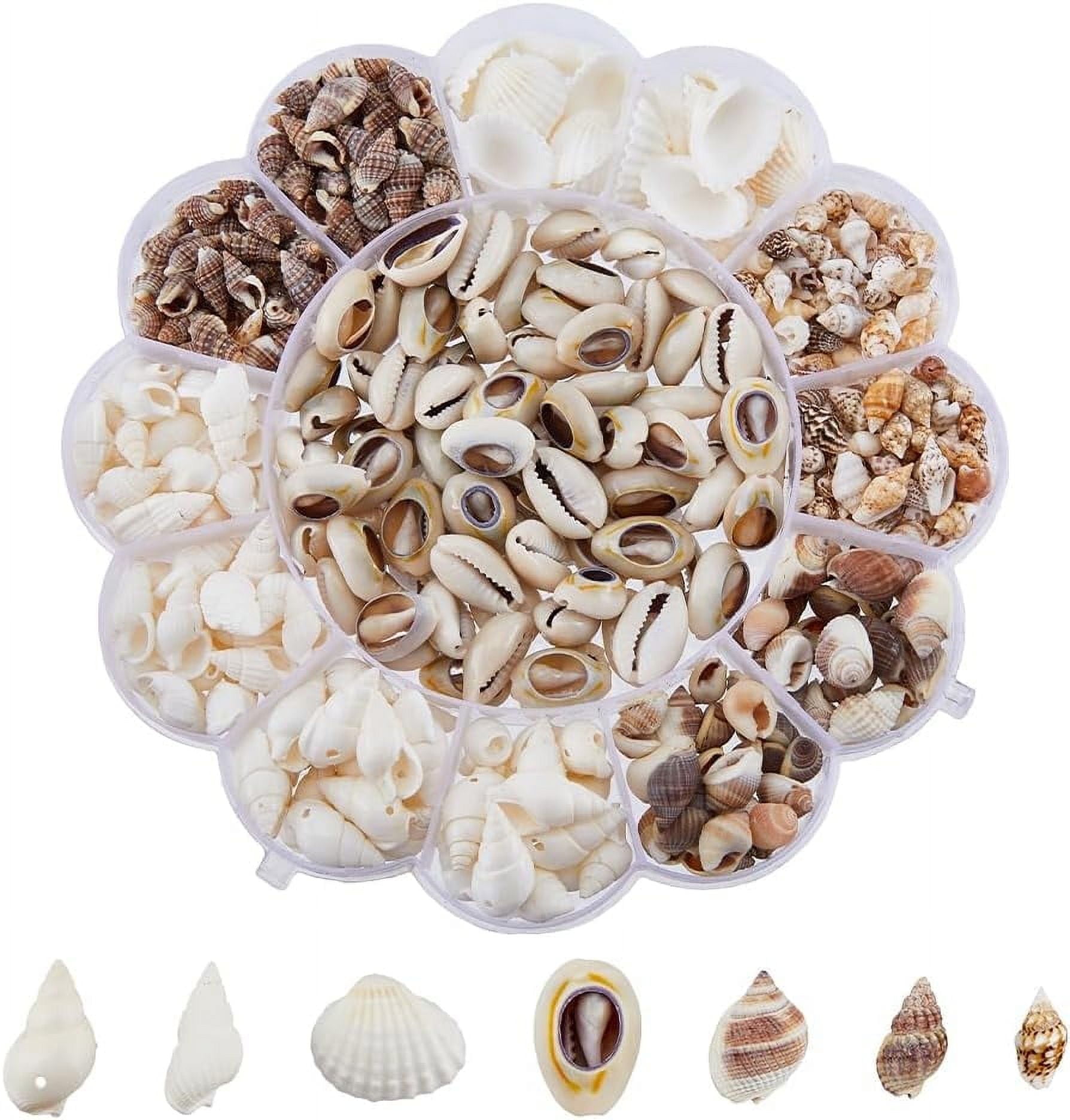 Sea Shell Character Set 413pcs 7 Styles Mini Sea Shells Bulk Natural Conch Cowrie Spiral Shell ...