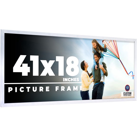 41x18 Frame Silver Stainless Steel Solid Wood Picture Frame | 0.75 Inch Moulding Width | Includes