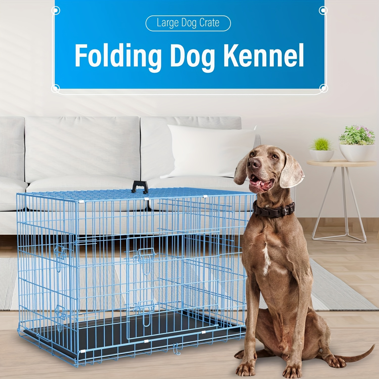 Picture of 42/48 Inch Double Door Folding Metal Dog Crate - Dividers & Leak-Proof ...