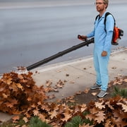 42.7cc 1.25kw 2-Stroke Backpack Gas Leaf Blower With Extendable Air Tube, Heavy Duty Air Blower For Clearing Lawn Leaves, Dust And Light Snow Outdoors
