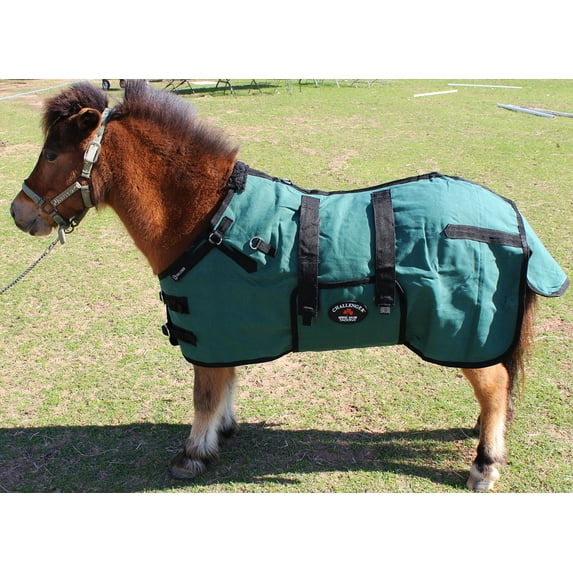 42" Canvas Duck Turnout Water Resistant Foal Winter Blanket 51701