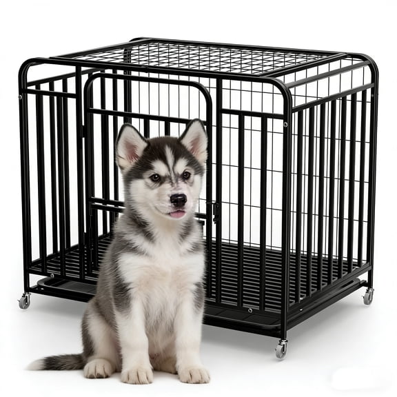 42" 4 Lockable Wheels Black Double Door Removable Tray, Folding Dog Crate, Dog Kennel Indoor, Pet Dog Crate, Heavy Duty Indestructible Dog Crate, for High Anxiety Dogs