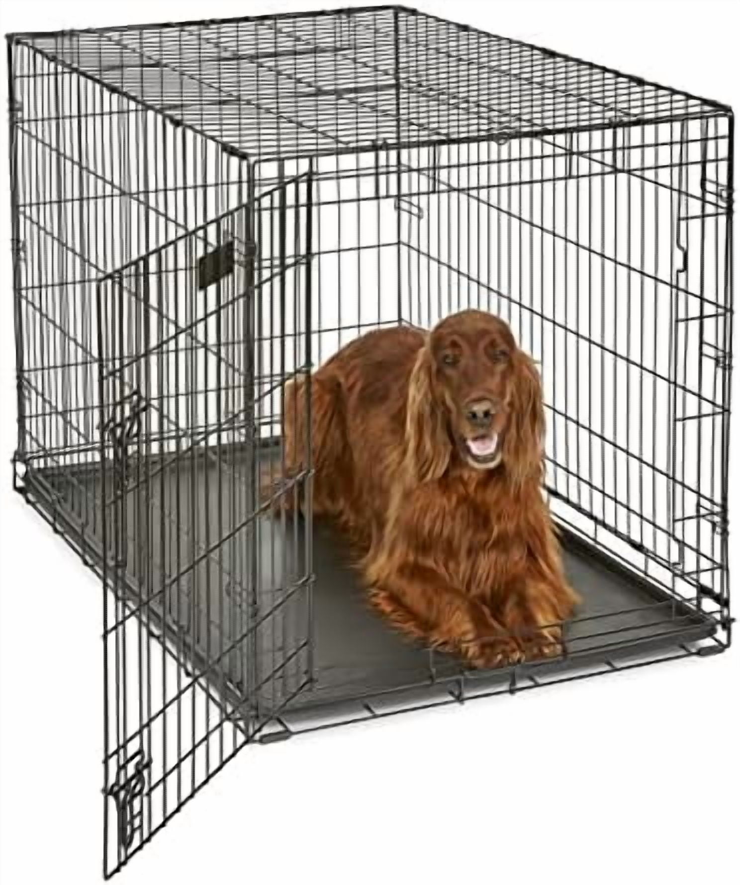 Curated visual reference: Fresh Look at 42 Inch Icrate Folding Dog Crate With Divider Panel Leak