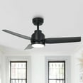 thumbnail image 1 of 42" Modern Black Dimmable DC Motor Ceiling Fan with Light and Remote for Bedroom and Office, 1 of 18