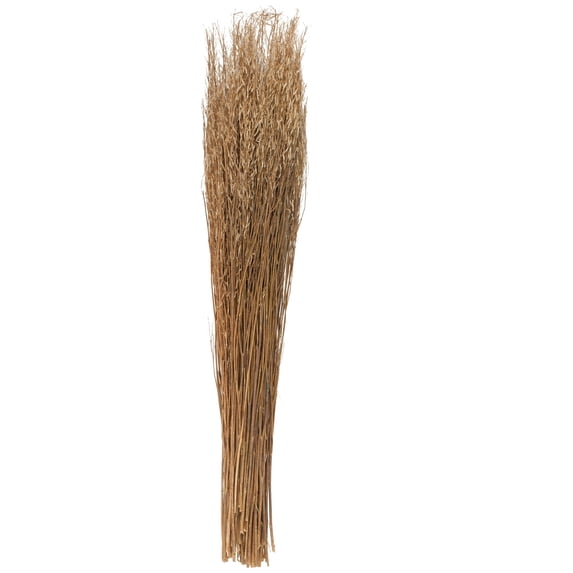 42" Tall Sticks Dried Plant Natural Foliage Bouquet with Grass, by DecMode