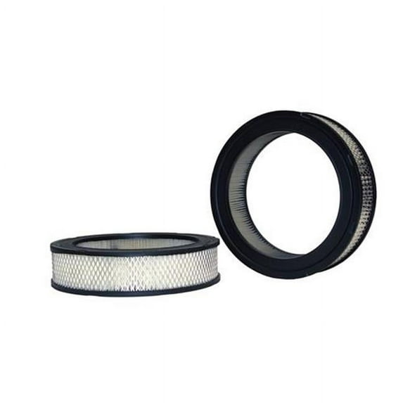 42061 Air Filter