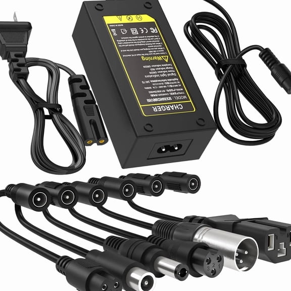 42V 2A Battery Charger Multi-Tips, Compatible With Hausebell 6.5 inch Self Balancing