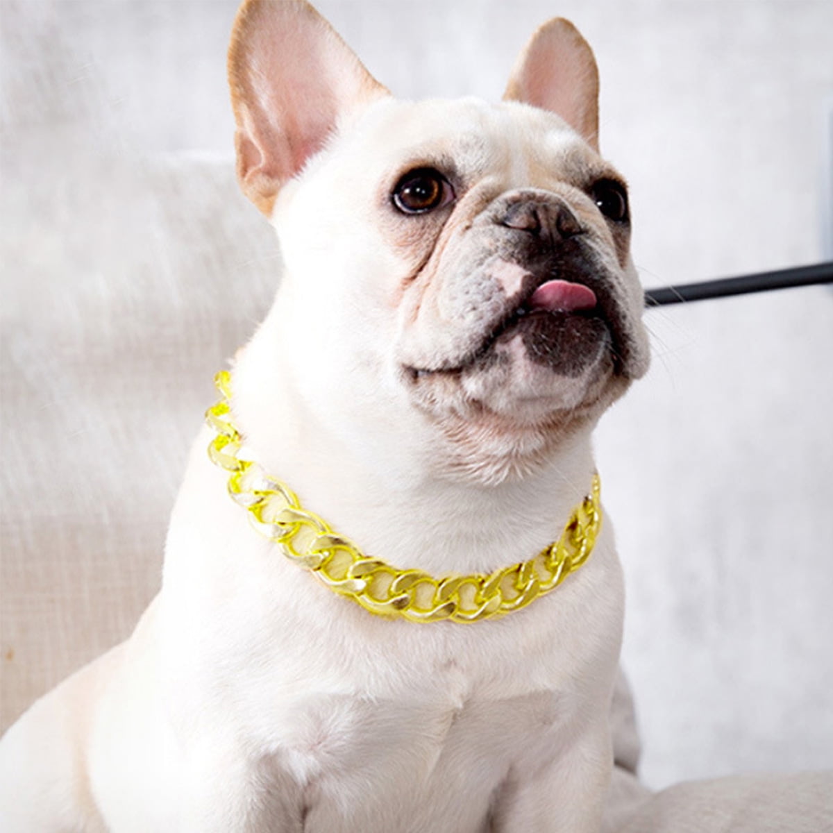 W/W Lifetime Stainless Steel Slip Metal Chain Gold Dog Pet Collar American  Pitbull French Bulldog - Walmart.com