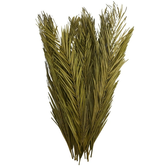 43" Tall Dried Plant Natural Foliage Palm Leaf Bouquet with Grass and Feather Inspired Stems, by DecMode