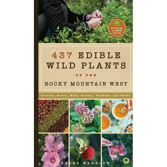 437 Edible Wild Plants of the Rocky Mountain West: Berries, Roots, Nuts, Greens, Flowers, and Seeds, (Paperback)