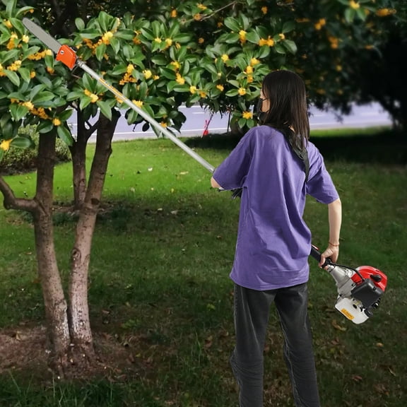 43cc Gasoline Pole Chainsaw 2-Stroke Long Pruning Chain Saw with Retractable Pole,7.9-11.5ft  Adjustable Height  Professional Garden Pruning Tool