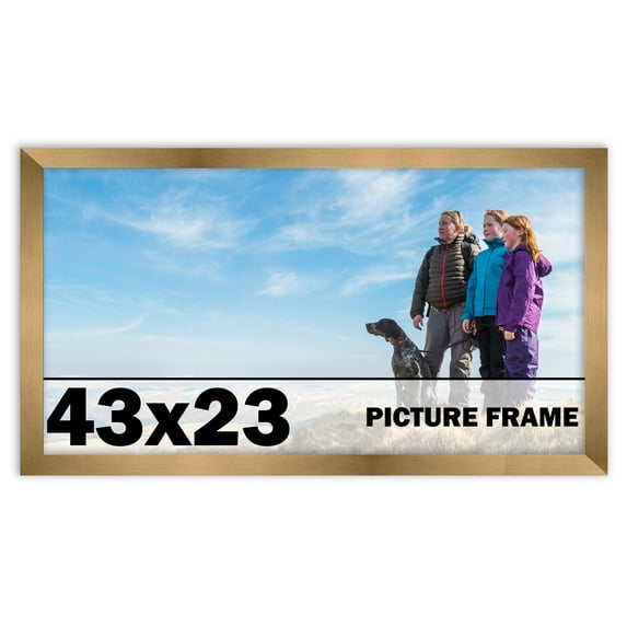 43x23 Frame Gold Bronze Modern Solid Wood Picture Frame | 0.75 Inch Moulding Width | Includes UV