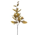 thumbnail image 1 of 44.5 in. Green Dried Pomelo Leaves Spray, 2 Piece - Pack of 72, 1 of 1
