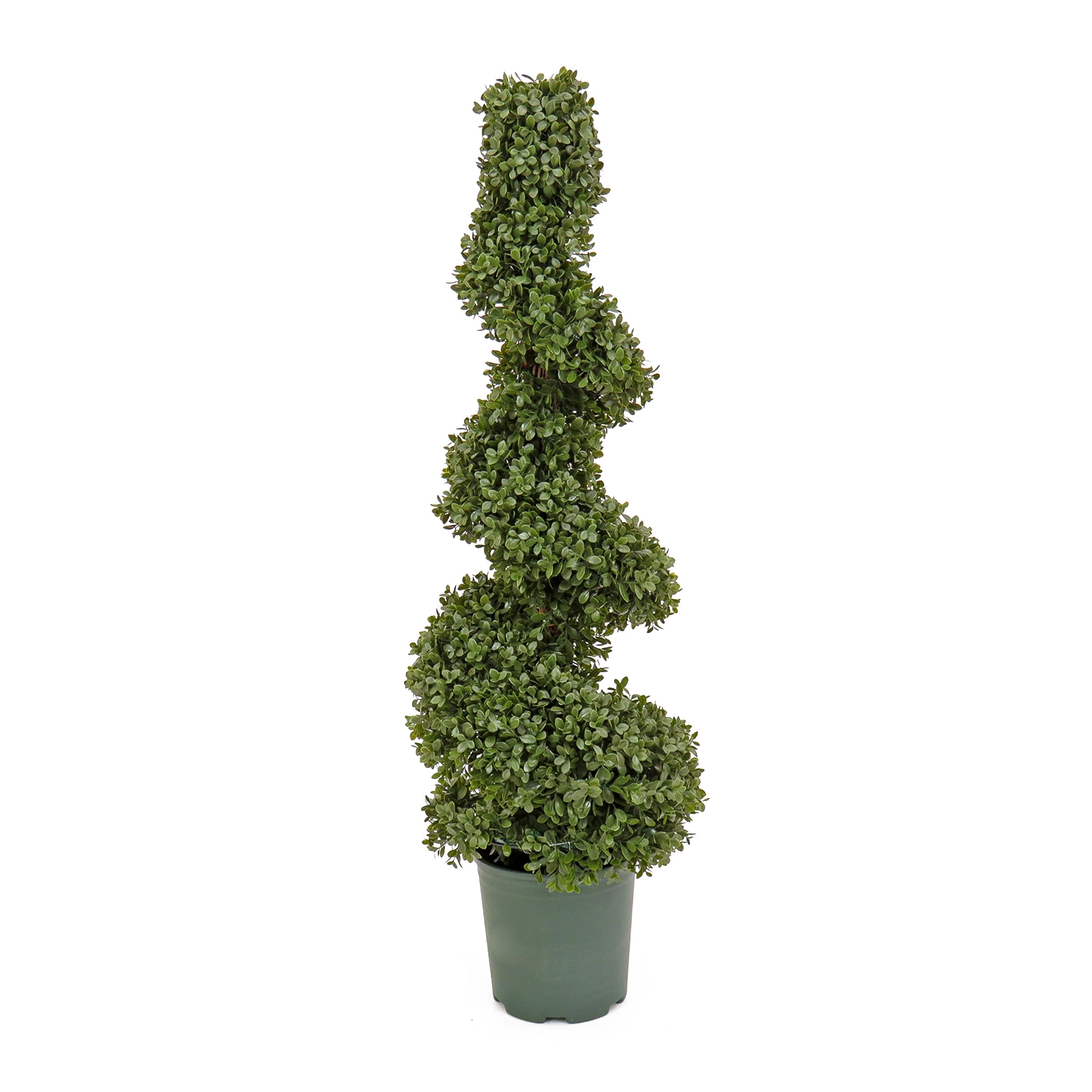44 in. Artificial Boxwood Spiral Topiary