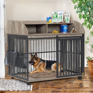 Photo inspiration: Curated Sturdy Dog Crate Latch Gallery View 49