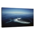 thumbnail image 1 of 44 in. Fin Whale At Winter Feeding Grounds, Sea of Cortez, Baja California, Mexico Art Print - Tui De Roy, 1 of 1