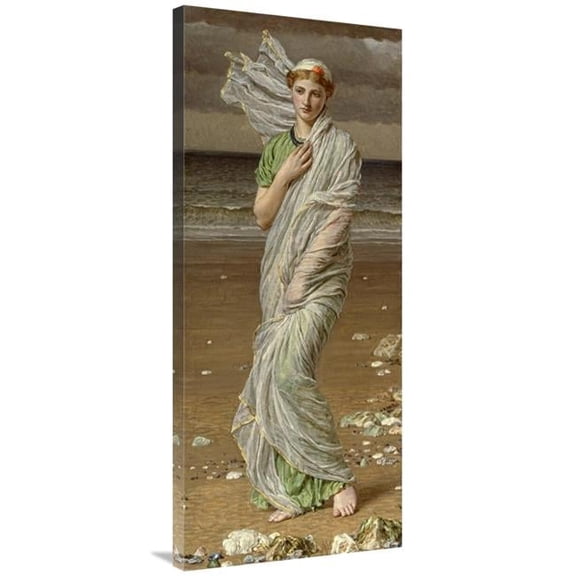 44 in. Sea Shells Art Print - Albert Joseph Moore