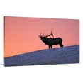 thumbnail image 1 of 44 in. Winter Sunrise Art Print - Vic Schendel, 1 of 1