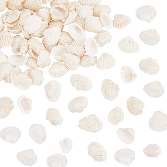 - 45-55pcs Natural Shell Beads White Unpierced 160g Gold