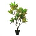 thumbnail image 1 of 45.75" Green Yellow and Red Potted Artificial Croton Tree, 1 of 4