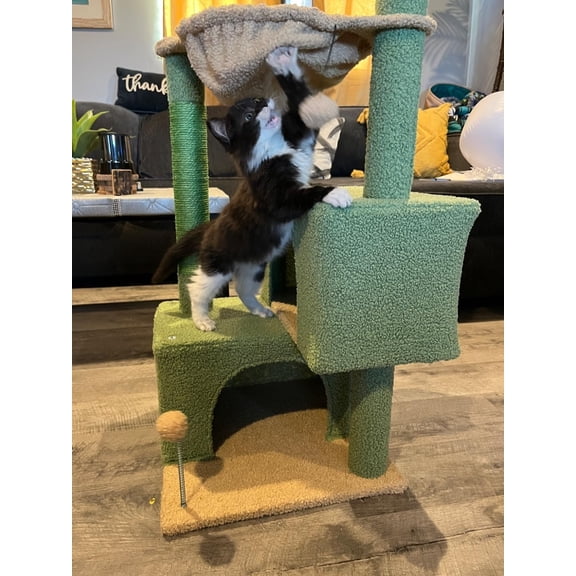 45" Cat Tree Tower Condo Cozy Green Kitty House 20 lbs Cats with Scratching Post