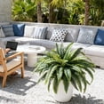 thumbnail image 1 of 45" Fake Ferns, Set of 2 Boston Fern Artificial Plants for Decorating Office, , Living Room Home Yards Farmhouse Decor, Green, 1 of 7