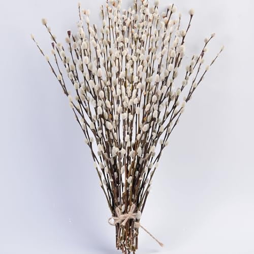 45 Stems 16Real Dried Pussy Willow Branches for Vase100% Natural PussyWillows with White Flowers, Snow Willow Branches for Indoor and Outdoor Decor, Wedding Home Party Hotel Fireplace Yard