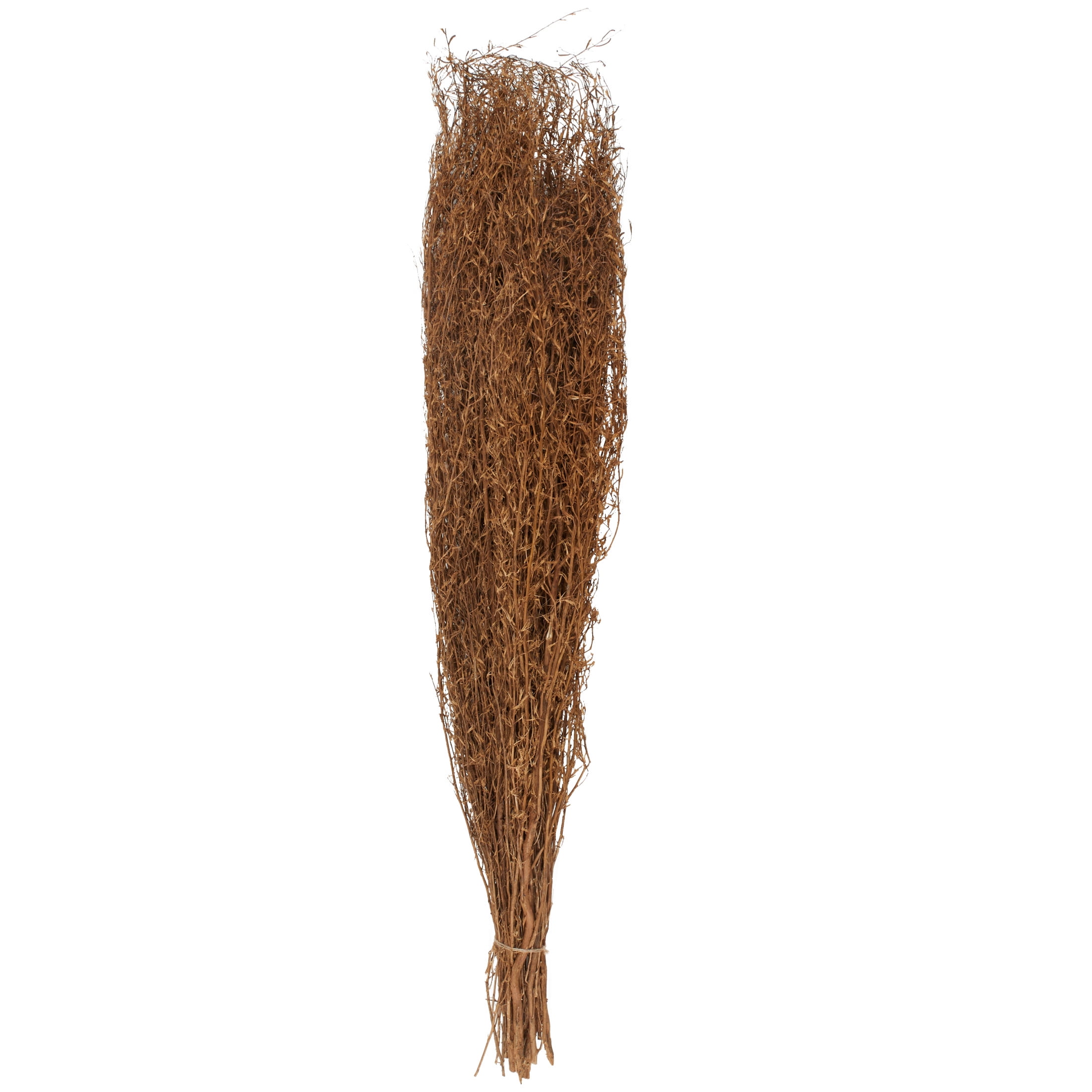 45" Tall Natural Brown Dried Pampas Grass Bouquet