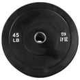 45 lb Weight Plates 2 inch Olympic Barbell Plates Cast Iron for Home