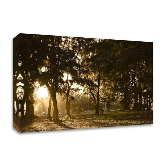 45" x 30" Daybreak by Chuck Burdick - Wall Art Print on Canvas Fabric Brown