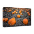 thumbnail image 1 of 45 x 30 Sea of Pumpkins by Tim Oldford - Wall Art Print on Canvas Fabric Orange, 1 of 3