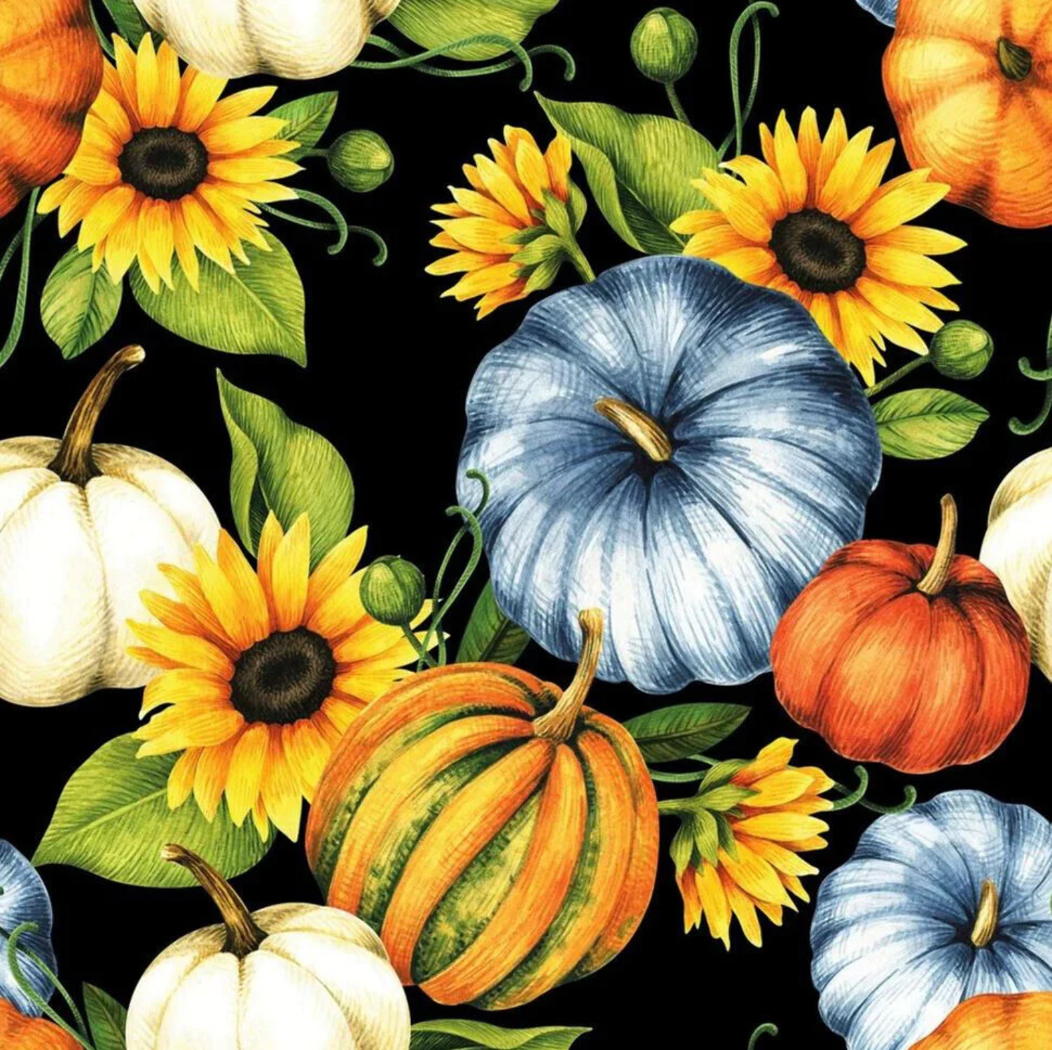 45 x 36 Pumpkins and Gourds on Black by the yard Fall Autumn ...
