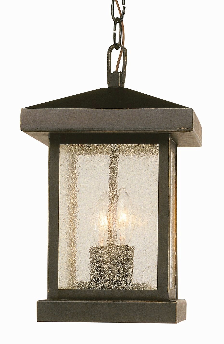 45643 WB-Trans Globe Lighting-Two Light Outdoor Hanging Lantern - image 1 of 2