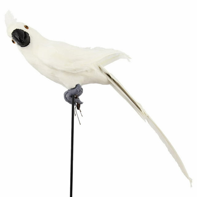 45CM Parrot Feather Parrot Parrot Garden Flower Art Mall Decoration