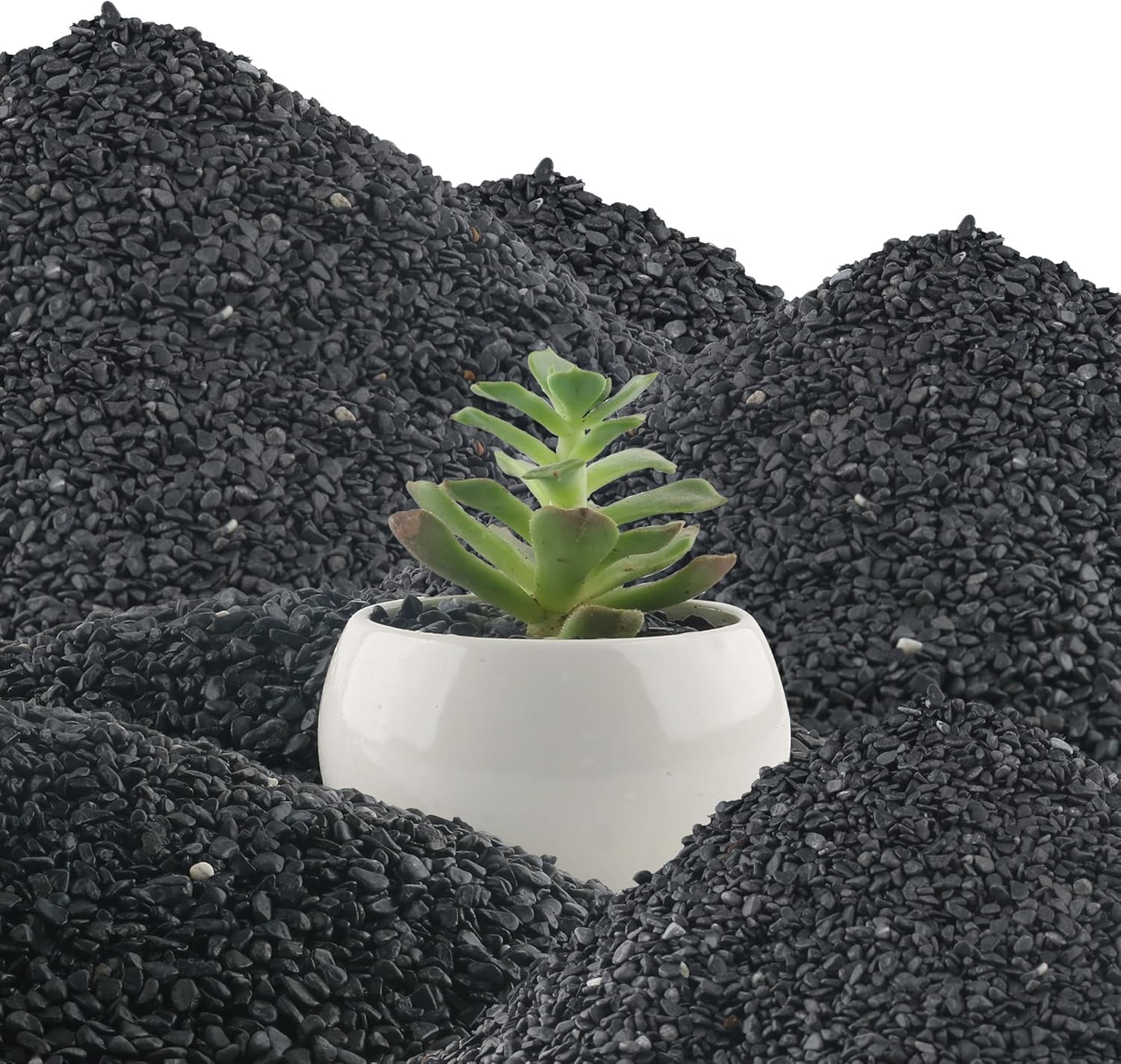 45lb Black Cactus Pea Gravel Rocks,1/4 Inch Pebbles for Indoor Plants ...