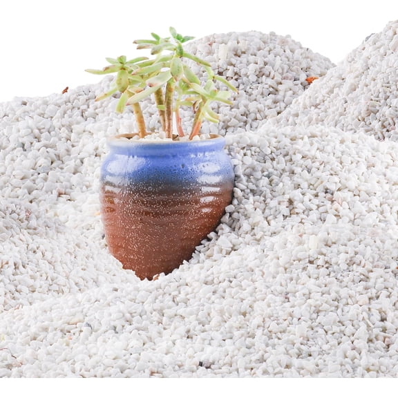 45lb White Cactus Pea Gravel Rocks,1/4 Inch Pebbles for Indoor Plants, Natural Succulent Rock and River Rocks Decorative for Aquariums, Vases, Outdoor Gardening, Top Dressing for Potted Plants