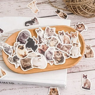 Kawaii Cat Stickers 45 Pieces