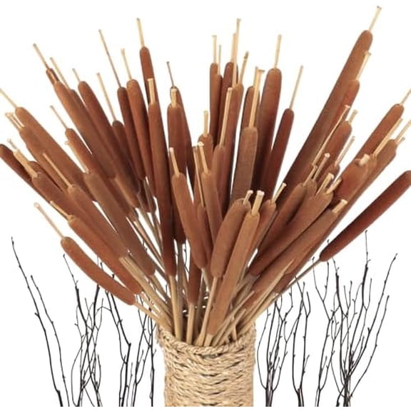 45pcs Large Natural Brown Cattails Bundles - Dried Flowers Real Cat Tails for Decorating, 17'' Jumbo Cattail Bulrush Plants Floral Stems Artificial Pampas Grass Arrangements Wedding Home Farmhouse