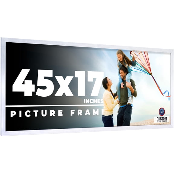 45x17 Frame Silver Stainless Steel Solid Wood Picture Frame | 0.75 Inch Moulding Width | Includes