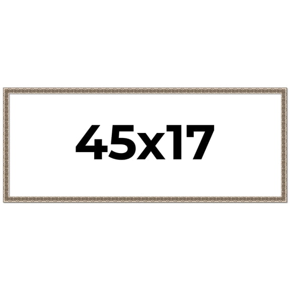 45x17 Frame Silver Versailles Ornate Solid Wood Picture Frame | 1 Inch Moulding Width | Interior