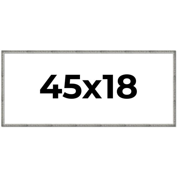45x18 Frame Silver Picture Frame - Complete Modern Photo Frame Includes UV Acrylic Shatter Guard