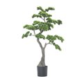 thumbnail image 1 of 46" Artificial Faux Bonsai Tree | Real Touch Artificial Faux Bonsai Tree, 1 of 6